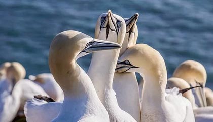 开云体育app-杨超声“一路向北”：蛰伏2年重返中超 再遇恩师陈洋